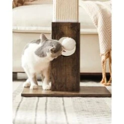 FEANDREA Katzenkratzbaum Kratzsäule 73cm -Tierbedarfs Rabatt Geschäft 011120cba8789320a75b230d3b90b8814d7c764c 1483578 de DE e037a8954e76e323e540d1ec597d6182a987795ehLWNuf