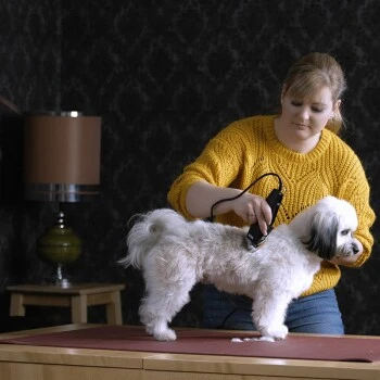 Moser Schermaschine REX 4 Moser Schermaschine REX – Bild 2