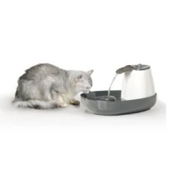 Savic Trinkbrunnen Cascade -Tierbedarfs Rabatt Geschäft 015652a13201b792a2f2ee6a9e8dd8898bb9683d 8c309c40131ee8faa1171afc3e1d237432cd64c4