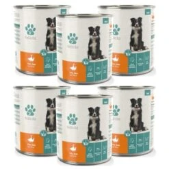 Fellicita Ente, Gans & Hirse 6x 800g -Tierbedarfs Rabatt Geschäft 02d8c889e348e0b9e70e5f4ae7b26de2deb124dd 1486608 de DE 5a98d2cd6da1b6b24100e060a38a2c962bef6c3fwRiDV7