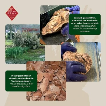 ChronoBalance Kauwurzel Für Hunde Baumheide 400 G 5 ChronoBalance Kauwurzel Für Hunde Baumheide 400 G – Bild 3