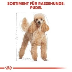 ROYAL CANIN Poodle Adult 7,5 Kg 14 ROYAL CANIN Poodle Adult 7,5 Kg -Tierbedarfs Rabatt Geschäft 032b5ea6cfa49c42570652ccff0f17d6a9c5c3b3 041bf486a1c57468bdf7f77e34e32ac35b6d49d3