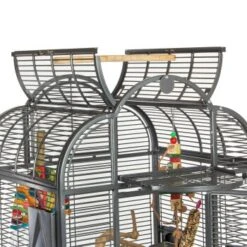 Montana Cages Voliere Havana Dunkelgrau 16 Montana Cages Voliere Havana Dunkelgrau -Tierbedarfs Rabatt Geschäft 0342079702df5f6f1c90e8ac8311f42d57c59c38 1070399 de DE b29430fcfdd1c1007a485dda77b5a71087f582c521q2vm