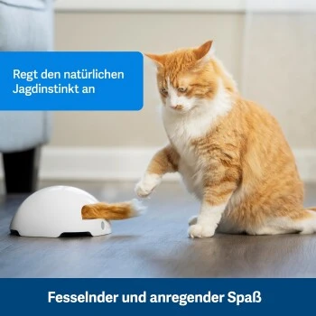 PetSafe Automatisches Katzenspielzeug Fox Den 5 PetSafe Automatisches Katzenspielzeug Fox Den – Bild 3