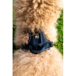 Fressnapf Tracker Pathfinder Geschirr Set S 13 Fressnapf Tracker Pathfinder Geschirr Set S -Tierbedarfs Rabatt Geschäft 0473ecbb0fe55fb7883a57b7591ab570c5a5aaa7 1409260 2