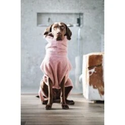 Lills Lill's Hundebademantel "Pink Berry" 35 Cm -Tierbedarfs Rabatt Geschäft 04a74783d50cdc98002051c351bf7a8a33cd1745 1349655 de DE 212dae4af17564ba144b7af1fd42f4b436426636rEvFkh