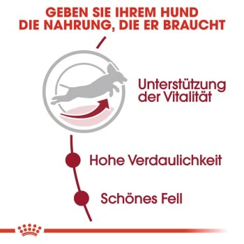 ROYAL CANIN Medium Adult 7+ 15 Kg 7 ROYAL CANIN Medium Adult 7+ 15 Kg – Bild 5