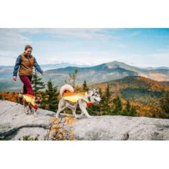 Ruffwear Lumenglow™ High-Vis Hundejacke Orange XL -Tierbedarfs Rabatt Geschäft 055f8ec457e40b7d33e9c275c20ea79bae1e006a 1378153 de DE e8b1f6094bc39d07bc90bd4fe7fc0806cf22bedaBId7iB