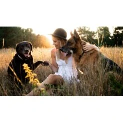 Mammaly Super Protect 110g -Tierbedarfs Rabatt Geschäft 05c9b1b79b877db2952fc05b88ebc49c5e35a7e1 1472890 1