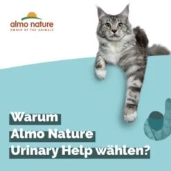 Almo Nature Almo Holistic Urinary Help 30x70g Mit Fisch -Tierbedarfs Rabatt Geschäft 060c8767b8c7969b21cac8aabe9818c799d04626 1479698 2 de