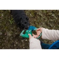 Ruffwear Pacific Ring™ Spielzeug Blau/ Türkis 15 Ruffwear Pacific Ring™ Spielzeug Blau/ Türkis -Tierbedarfs Rabatt Geschäft 07365c8c03348a7be23ff66a31807695c41eac94 1444351 de DE bb2133baab48cb1d262b89fa47f175638eb3f7fcb9JpcH