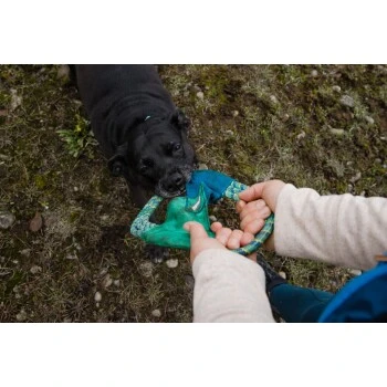 Ruffwear Pacific Ring™ Spielzeug Blau/ Türkis 7 Ruffwear Pacific Ring™ Spielzeug Blau/ Türkis – Bild 5