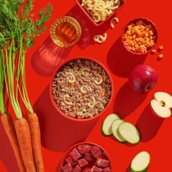 Fred & Felia FRED 10x390g JUNIOR Rind Mit Nudeln 4 Fred & Felia FRED 10x390g JUNIOR Rind Mit Nudeln – Bild 2