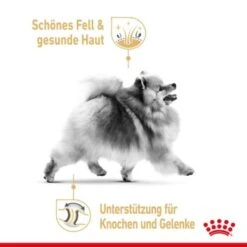 ROYAL CANIN BHN Pomeranian 1,5 Kg -Tierbedarfs Rabatt Geschäft 076a82e5533098ce72fdf62baa0bc25ecc22754f 1379878 3