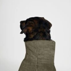 THE DOG IDEA Bademantel Every Khaki XXXS -Tierbedarfs Rabatt Geschäft 08d4ec498c585cdadfada6a4c3297d6f4c28d816 1473018 de DE 537902d50a13ec441ccfea84817fdb2f9ffb8d39pqXbmK