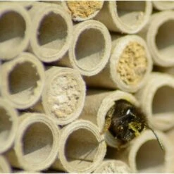 Dobar Großes Profi-Insektenhotel 9 Dobar Großes Profi-Insektenhotel -Tierbedarfs Rabatt Geschäft 090e56c238a937a7f8b4416b233d611bb55a231a 7a03522e70dce7ac8cc27bfc448a16225867f712