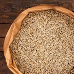 Deuka W/Z-Futter 25 Kg - Wachtelfutter Gekörnt 8 Deuka W/Z-Futter 25 Kg - Wachtelfutter Gekörnt -Tierbedarfs Rabatt Geschäft 0961cba8bc9b682144a25d2a60b8147c0b226c3c 1385972 de DE c4802ac00ac3e6e15c11cc1414598b7e38aff560opB2e4