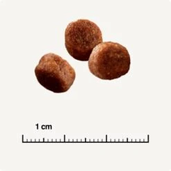 SELECT GOLD Digestion Senior Geflügel Und Reis 2,5kg 12 SELECT GOLD Digestion Senior Geflügel Und Reis 2,5kg -Tierbedarfs Rabatt Geschäft 0999645de19e34aac9b2c14ea642717fe4bc62d2 1001086008 de DE 6