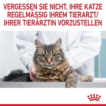 ROYAL CANIN Hair & Skin 12x85g In Soße 13 ROYAL CANIN Hair & Skin 12x85g In Soße – Bild 11