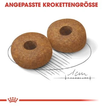 ROYAL CANIN Medium Ageing 10+ 15 Kg 7 ROYAL CANIN Medium Ageing 10+ 15 Kg – Bild 5