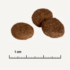 REAL NATURE Country Selection Andalusia Rind Mit Spanischem Kaninchen 12 Kg 14 REAL NATURE Country Selection Andalusia Rind Mit Spanischem Kaninchen 12 Kg -Tierbedarfs Rabatt Geschäft 0a7fce7b39ad9a46e9b5bd24525cc5f14df99cb4 1325173 de DE 6