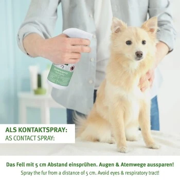 Aniforte Zeckenspray Für Hunde 250ml 7 Aniforte Zeckenspray Für Hunde 250ml – Bild 5