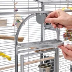 Montana Cages Vogelkäfig Madeira I -Tierbedarfs Rabatt Geschäft 0ce8b7bc0a942f57aefb13282941196379db3123 1070554 de DE 771b423ff834b8a0c5d375c0a79f7a7c95888b2fzBGXD2