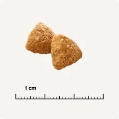 SELECT GOLD Light Adult Geflügel & Reis 2,5 Kg -Tierbedarfs Rabatt Geschäft 0e0cb7fda9cc7a96a9f2c0e4965d8e2bbc043b5c 1243297 de DE 6