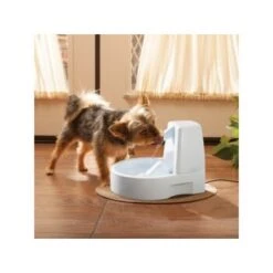 PetSafe Drinkwell Trinkbrunnen Original, 1,5 Liter 8 PetSafe Drinkwell Trinkbrunnen Original, 1,5 Liter -Tierbedarfs Rabatt Geschäft 0eafb4742dba6833f9a27c15a06f970e4cd3a735 e5e9d8abdbe4501019d4b3506e15c02aeff7b01c