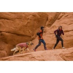 Ruffwear Hemp Hound™ Sweater Rosso M 14 Ruffwear Hemp Hound™ Sweater Rosso M -Tierbedarfs Rabatt Geschäft 0f007e043307b4af121eddda3cbc9166357cc781 1639886 de DE 9d517e653a6756aea5aff487f1d4367033c9f0eco8wkkb