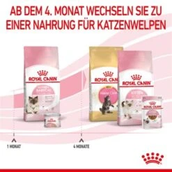 ROYAL CANIN Mother & Babycat 2 Kg -Tierbedarfs Rabatt Geschäft 0fe8497acfc1380792b3bad8590087c6f2d67d34 3182550707329 6