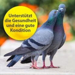 Quiko Multivitamin 375 G -Tierbedarfs Rabatt Geschäft 104df2b21f8fd9e32b99e367a9a5b3569dbad191 1387633 de DE f867bf42cdcdb7e6959667b1210fedd6d7d4c069gH7Wsa