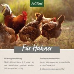 Aniforte Hühnertraum 2,5kg 11 Aniforte Hühnertraum 2,5kg -Tierbedarfs Rabatt Geschäft 13e31c8dbbabb27d80f3cce6d8a9679ac93eff38 1489436 de DE d0bebbecd550a7264f4c6f2e70174a5bc1f20113ghfben