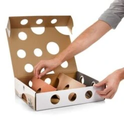 Canadian Cat Company Katzenspielzeug MagicBox 16 Canadian Cat Company Katzenspielzeug MagicBox -Tierbedarfs Rabatt Geschäft 142300badb79cca7ad6d02f165f6adb72822700a 1361887 de DE 0a0d8e236e46b38b19bc65d2f7a8b14b65d84da00feNa3