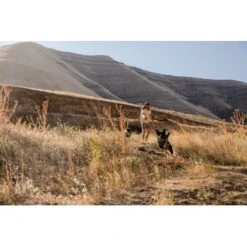 Ruffwear Hover Craft™ Spielzeug Orange 17 Ruffwear Hover Craft™ Spielzeug Orange -Tierbedarfs Rabatt Geschäft 15670c7f824cb67257971dca32974b68eba14a2f 1364297 de DE f53c4ca5615bcabb9ccbd712339b8f568f29402frPrk2m