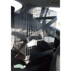Montana Cages Transportkäfig Eos Hellgrau -Tierbedarfs Rabatt Geschäft 1581f91ec4b5ba7e79d393fb316a3eb099d7552c 1421217 de DE 83deacc70e26816bf3b16d53b67b8a302e1627fbyo7bfZ