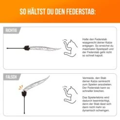 Schlitzohr Federwedel Birdy 3er Pack 15 Schlitzohr Federwedel Birdy 3er Pack -Tierbedarfs Rabatt Geschäft 16072e01b419f04186b3ef116d6cd36b37e5e14d 1659562 de DE 14a63acfadc12c43ff7fa0cac6e3fa04d776aa75sEyDpP