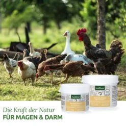 Aniforte Wermix Für Hühner & Co 50g 7 Aniforte Wermix Für Hühner & Co 50g -Tierbedarfs Rabatt Geschäft 161958b36104ec8c87b36581ab02d07ff75f352f 1489434 de DE 0c332bdd6b16f0ad98823856f9fbdb52e63fd093OsEry7
