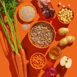 Fred & Felia FRED 10x390g Pute Mit Kartoffeln -Tierbedarfs Rabatt Geschäft 1655acad8ebb56aa0d42a817c2dd422fb43d66de 1422052 de DE b38968899d5aadb6bb2af01d15d7f083155a7458pbvP7f