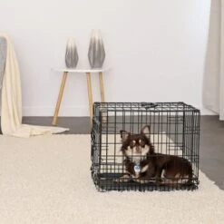 Lionto Hundetransportkäfig S 10 Lionto Hundetransportkäfig S -Tierbedarfs Rabatt Geschäft 16bf4a7bda8913bd8d6759c333b8462422c25930 1657954 de DE 88d7762950e447e6280dda9dcc577106888c533eyg5v9p