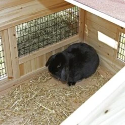 Kerbl Kleintierstall Tyrol Alpin -Tierbedarfs Rabatt Geschäft 171790ce081654b413a6450e70de4fcec8313490 9773502bb466235b647cc09752f73d4384b4818f