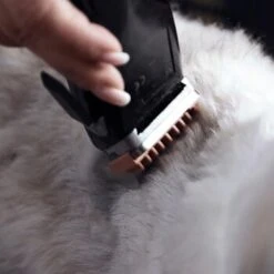 Moser Schermaschine REX 11 Moser Schermaschine REX -Tierbedarfs Rabatt Geschäft 1772a67d22493cedccf903dd1e91d7ff370d86f7 29185d9f269d8954e1525c804aae277033703d78