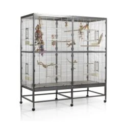 Montana Cages Voliere Paradiso 150 Hellgrau/ Dunkelgrau 15 Montana Cages Voliere Paradiso 150 Hellgrau/ Dunkelgrau -Tierbedarfs Rabatt Geschäft 18ba083edb0de876ccf5b0842e5ec66e58f4e40e 1330426 de DE aad8576b1012096cad7c6ad4bef4004a9f82125c6IAFCl