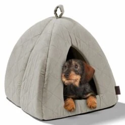 MORE Höhle Diamond -Tierbedarfs Rabatt Geschäft 1901edb64570eb8cb38c0e72458280ff138dcb40 856e9f8ef094dc77c4e2ce9e6d85768bffa721c6