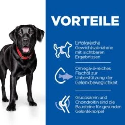 Hill's Science Plan Perfect Weight + Active Mobility Adult Large Breed Mit Huhn 12kg 12 Kg -Tierbedarfs Rabatt Geschäft 19a37cc445eb472e80fac50cb4b97632efd58bb4 52742052410 4