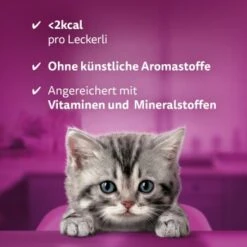 Whiskas Snacks Milch-Kätzchen 8x55g 15 Whiskas Snacks Milch-Kätzchen 8x55g -Tierbedarfs Rabatt Geschäft 1ba2212093ff5f5112c9f8822d1a7925e37090ed 1335585 de DE Whiskas 4