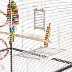 Montana Cages Voliere Paradiso 120 Hellgrau/ Dunkelgrau -Tierbedarfs Rabatt Geschäft 1c842f90892054aed2e7d5c892280c11e89fe74b 1200893 de DE 93edbe7d4f0e092dd8649cc255466a331806c29emAqrjU