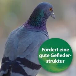 Quiko Spirulina 250 G 8 Quiko Spirulina 250 G -Tierbedarfs Rabatt Geschäft 1d197f2e004bf765dcdb99f3cb777c57285c03ed 1387640 de DE 185e18e93f54cb0130b70ffb741d9e21c1c0250eZ39B4c