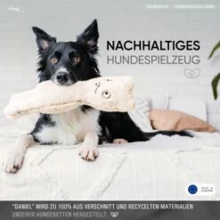 Freudentier Nachhaltiges Hundespielzeug Daniel 13 Freudentier Nachhaltiges Hundespielzeug Daniel -Tierbedarfs Rabatt Geschäft 1d76f528eae39671e4d1834457219c343008a2d3 1408970 de DE eaef6ecd52d3d4c991411f4325e77d342eb1ce7eIH205L