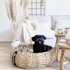 District 70 COCOON Natural M -Tierbedarfs Rabatt Geschäft 1db584284c497361442002ba80ca8dd9597a35b9 1ad367312153dfaf420d5600b6e8e9dac5cec798